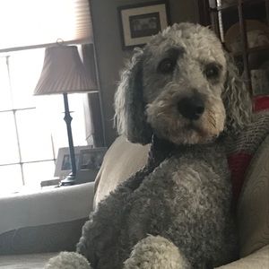 Meet your Posher, Jayme